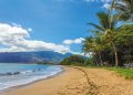 beach, landscape, hawaii