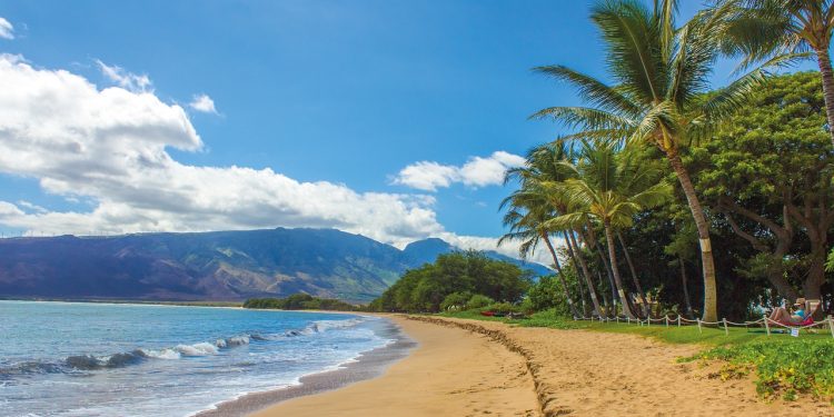 beach, landscape, hawaii