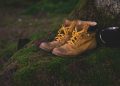 boots, shoes, moss