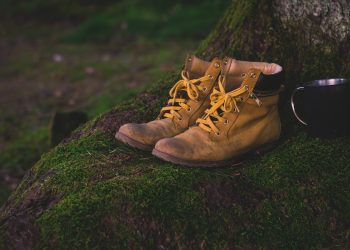 boots, shoes, moss