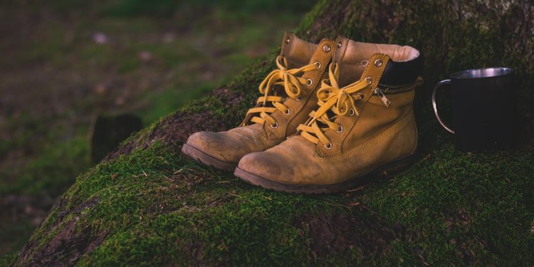 boots, shoes, moss