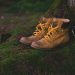 boots, shoes, moss