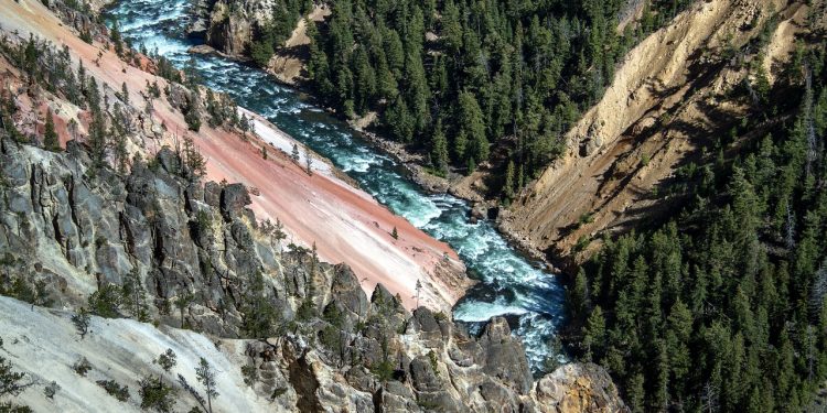 yellowstone national park, wyoming, usa