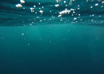 bubbles, nature, ocean
