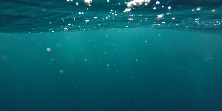 bubbles, nature, ocean