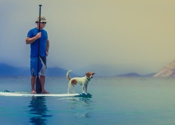 standup paddleboarding, man, dog