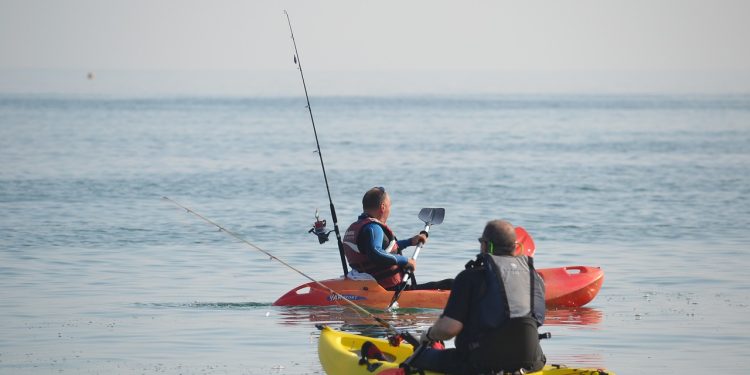 kayak, canoe, paddles