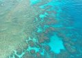 great barrier reef, dive, diving
