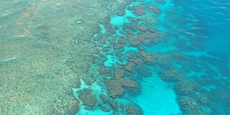 great barrier reef, dive, diving