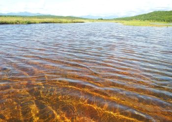 lake, duct, shallow water
