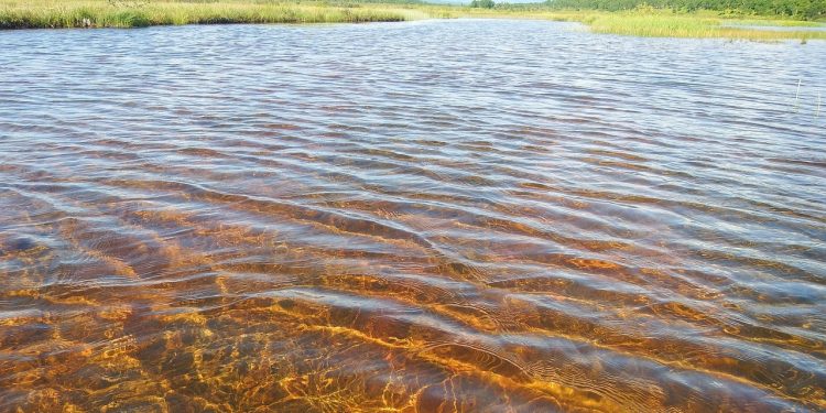 lake, duct, shallow water