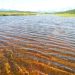 lake, duct, shallow water