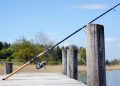 fishing rod, fishing, angler