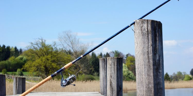 fishing rod, fishing, angler