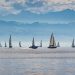 sailboats, regatta, lake constance