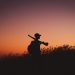 sunset, sniper, abdul