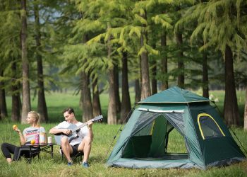tent, nature, tree
