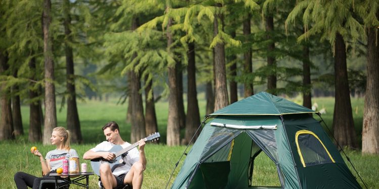 tent, nature, tree