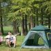 tent, nature, tree