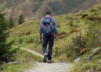 mountaineering, man, trail