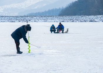 ice fishing, snow, dog