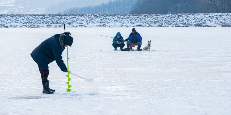 ice fishing, snow, dog