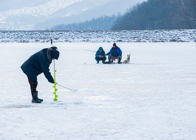 ice fishing, snow, dog