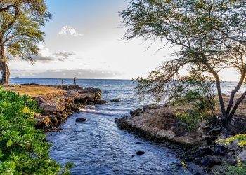 lagoon, hawaii, laguna