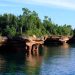 trees, shore, leaves