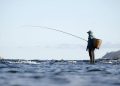fishing, fisherman, fishing rod
