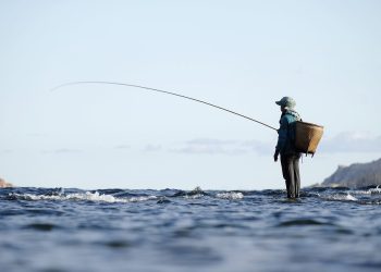 fishing, fisherman, fishing rod