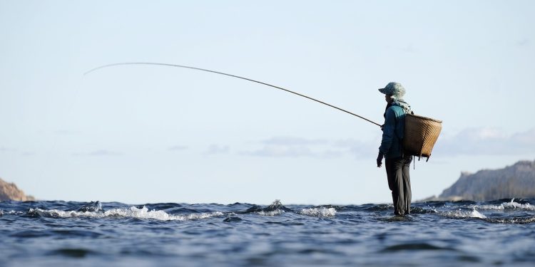 fishing, fisherman, fishing rod
