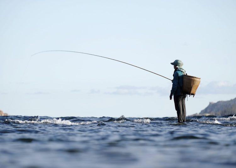 fishing, fisherman, fishing rod