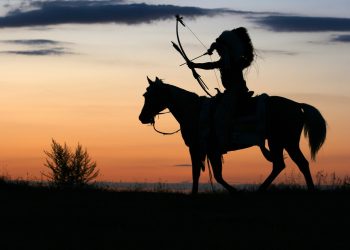 horse, silhouettes, horse back riding
