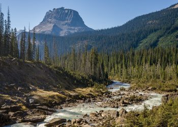 river, trees, mountains