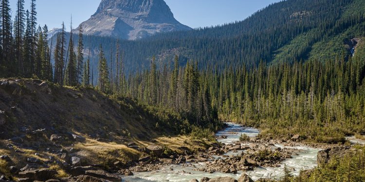 river, trees, mountains