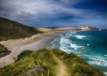 beach, coast, sea