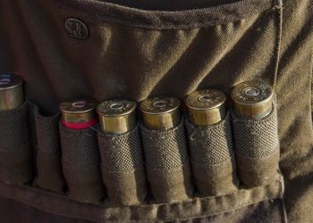 cartridges, ammunition, weapon