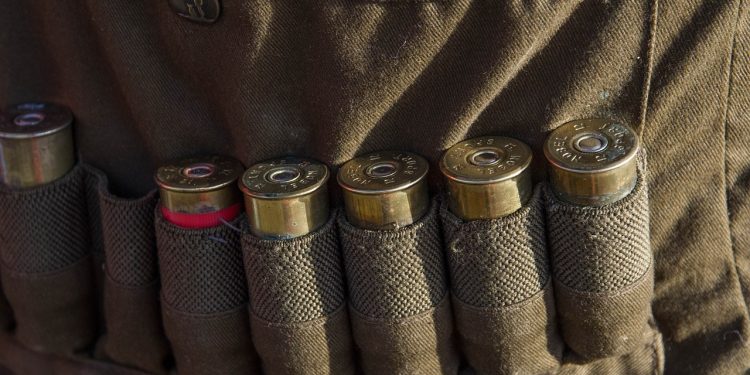 cartridges, ammunition, weapon