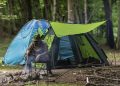 man, travel, mazandaran province