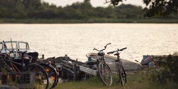 bicycle, lake, nature