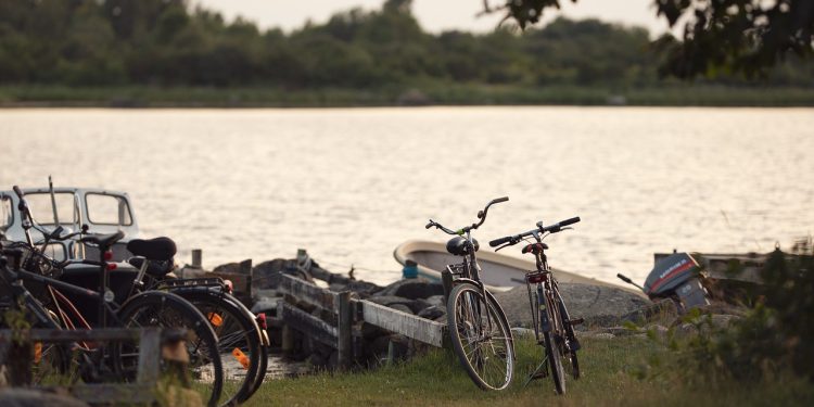 bicycle, lake, nature