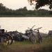 bicycle, lake, nature