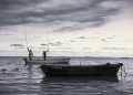 fishing, sea, boats