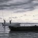 fishing, sea, boats