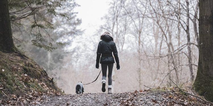 nature, hike, animal