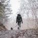 nature, hike, animal