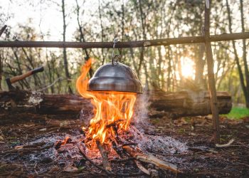 cooking, campfire, wood