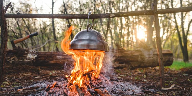cooking, campfire, wood