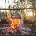 cooking, campfire, wood